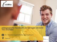 pädagogische Fachkraft als Springer (m/w/d) 19,5 Stunden - Hamm