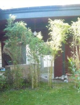 Loft in Hagen - Grüne Oase in der City - Hagen (Stadt der FernUniversität)