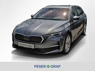 Skoda Octavia, 2.0 TDI Combi Exclusive Selection, Jahr 2024 - Forchheim (Bayern)