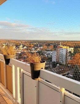 Top sanierte Wohnung mit Ausblick: 4-Zimmer am Waldrand von Heusenstamm - Heusenstamm