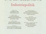 APUZ 4-5/2024 - Aus Politik und Zeitgeschichte - Industriepolitik - Grünberg