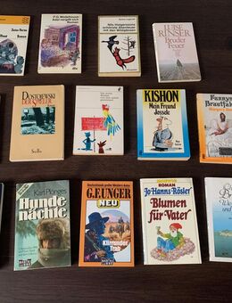 Diverse Bücher - Romane ☘️ab 1,00€ - Vilshofen (Donau) Zentrum