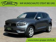 Volvo XC40, Momentum, Jahr 2019 - Hof