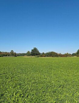 Ruhig & sonnig im Achental - Barrierefreie Neubauwohnung mit Terrasse & Garten im Luftkurort Grassau - Grassau