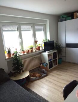 Helle und gemütliche 1-Zimmer-Wohnung in Coburg mit Küche - Coburg