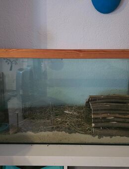 Terrarium - Aquarium - Germersheim