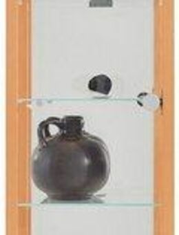 fif möbel Vitrine OPTIMA Standvitrine/Glasvitrine 1x Glastür,perfekt für Sammler,Sammlervitrine