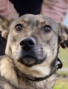 BRENDA ist traurig - Gefrees