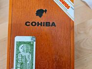 Cohiba Siglo III Zigarren - Ostrach