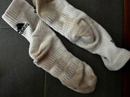 socken - Olten