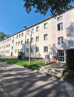 Echt nett hier: Ruhige Lage, kleine Hausgemeinschaft, schöne Wohnung! - Görlitz