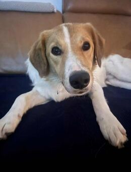 Momo- auf PS in 80636 München - Nürnberg