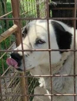 Wann hat OTMAR endlich Glueck? - Gefrees