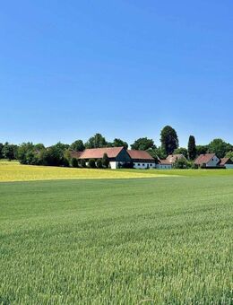 Vierkanthof in Vilseck - Vilseck