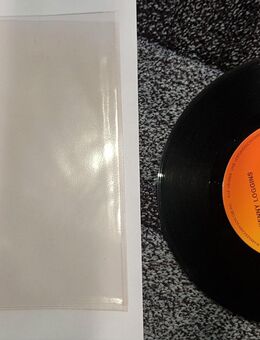 a18) Single Schallplatten mit + ohne Hüllen oder nur Hüllen / Cover - Rock & Pop - Garbsen