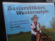 Westernreiten Ute Holm - - Allgäu - TOM - München Maxvorstadt