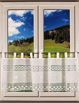HOSSNER - ART OF HOME DECO Querbehang Drachensee, Schlaufen (1 St), halbtransparent, Wirkware, m. Spitze