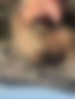 Som*** - Leinfelden-Echterdingen