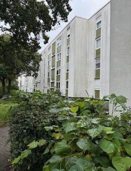 KEINE Erbpacht! Freie 3-Zimmerwohnung - Mannheim