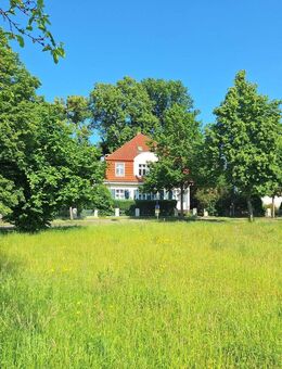 freiwerdende Wohnung - Villa/ 3-Familien-Haus mit Garten kurz vor der Insel Usedom - Wolgast