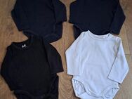 4 Langarmbodys Gr.62 für Babys von H&M - Königswinter