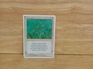 Magic The Gathering-Deckmaster. -Green Ward. - Nörvenich