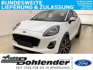 Ford Puma, , Jahr 2024 - Kandel