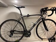 Fahrrad Rennrad Carbon - Bad Brückenau