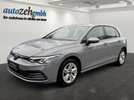 VW Golf, 2.0 TDi Life, Jahr 2020 - Eltville (Rhein)