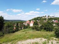 Bauplatz am begehrten Kreuzberg in Burglengenfeld - Burglengenfeld