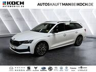 Skoda Octavia, 1.5 TSI Combi e-TEC Sportline, Jahr 2024 - Berlin