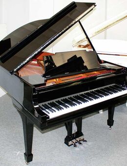 Flügel Klavier Steinway & Sons M-170, schwarz poliert, restauriert - Egestorf