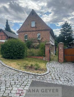 WEISSENFELS OT LANGENDORF * GROSSES GRUNDSTÜCK mit EINFAMILIENHAUS (denkmalgeschützt) * leerstehend * ab sofort zur Verfügung - Weißenfels