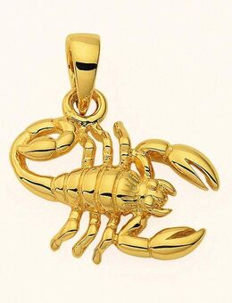 Adelia´s Kettenanhänger Damen & Herren 585 Gold Sternzeichen Anhänger Skorpion, Goldschmuck für Damen & Herren