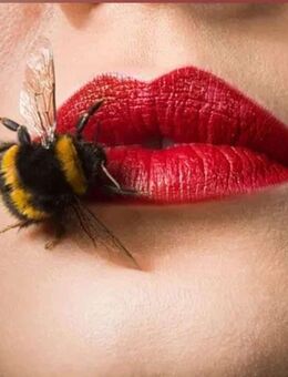 Gute, mobile Masseurin von Senioren in 60488 Frankfurt -Praunheim gesucht - Frankfurt (Main) Praunheim