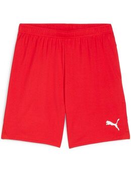 PUMA Trainingsshorts TEAMGOAL SHORTS