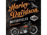 Tolles Harley-Davidson Blechschild Timeless Tradition Motorrad Biker 30x40 cm - Berlin