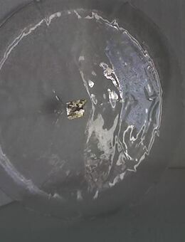 Glasschale im Neuzustand, unbenutzt, 32,5 cm - Simbach (Inn)