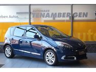 Renault Scenic III Luxe Automatik Memory Navi Xenon AHK - Mettingen