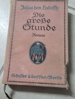 Die grosse Stunde - Bonn