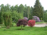 Wohnen in der Natur bei Jesteburg - Jesteburg