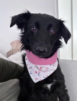 hübsche DAYA möchte die Welt entdecken - Schwabach