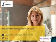 Visueller Marketingexperte (m/w/d) - Trier