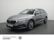 Skoda Octavia, 2.0 TDI Combi, Jahr 2024 - Leverkusen