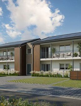 3-Zimmer-Neubauwohnung in Sontheim an der Brenz - Sontheim (Brenz)