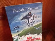 DER SCHIMMELREITER. Novelle. Broschierte TB-Ausgabe v. 1980 , Theodor Storm (Autor) - Rosenheim