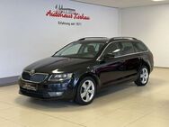 Skoda Octavia Combi 2.0 TDI DSG Style + Xenon + Garantie + - Einbeck