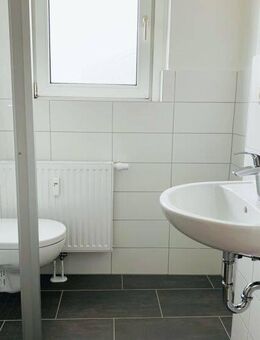 + Klein aber fein + - Goslar