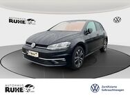 VW Golf, 2.0 TDI VII IQ DRIVE, Jahr 2019 - Dinklage