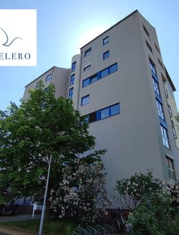 Clever sparen! Schöne, helle neu sanierte 2 Raumwohnung mit Terrasse! - Riesa
